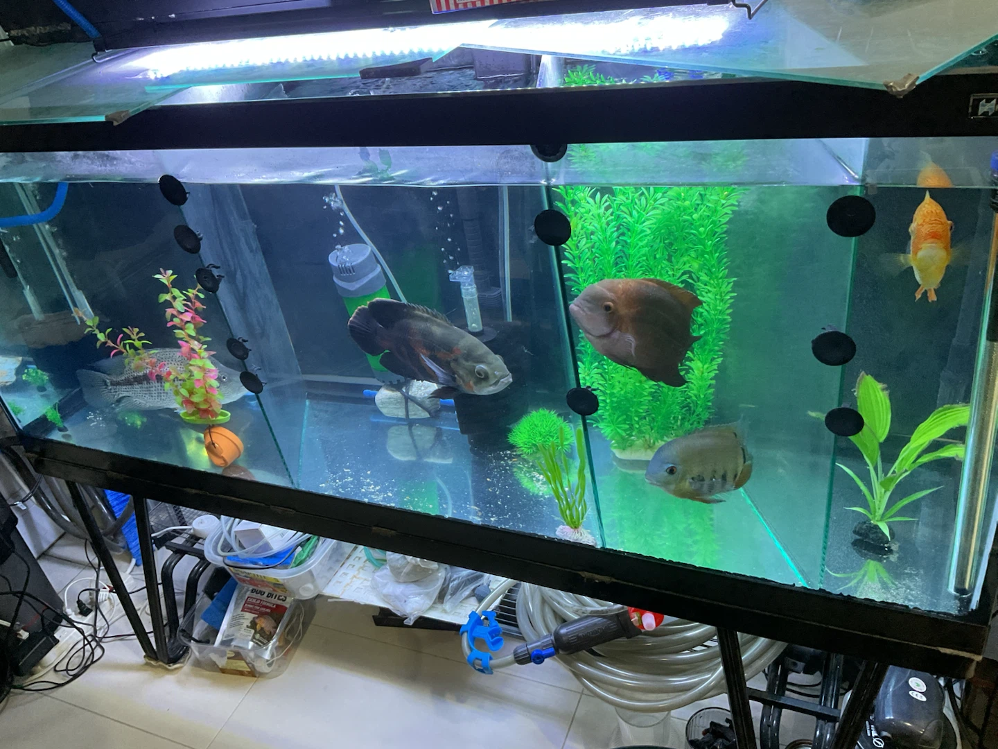 Large Aquarium Tank 120gallom