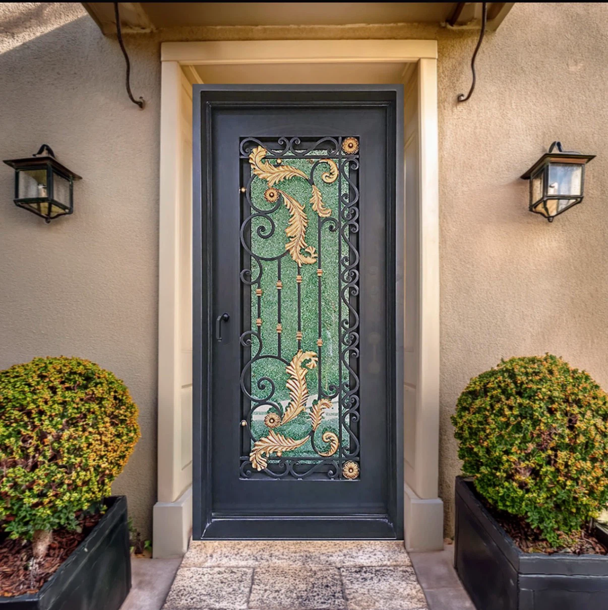 Wrought Iron Entry Door with Decorative Glass