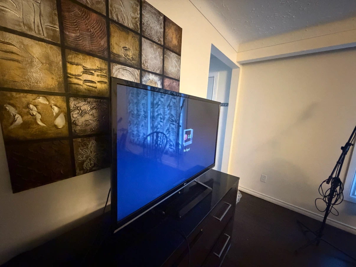 LG 50” Flat Screen TV with Remote - photo 2