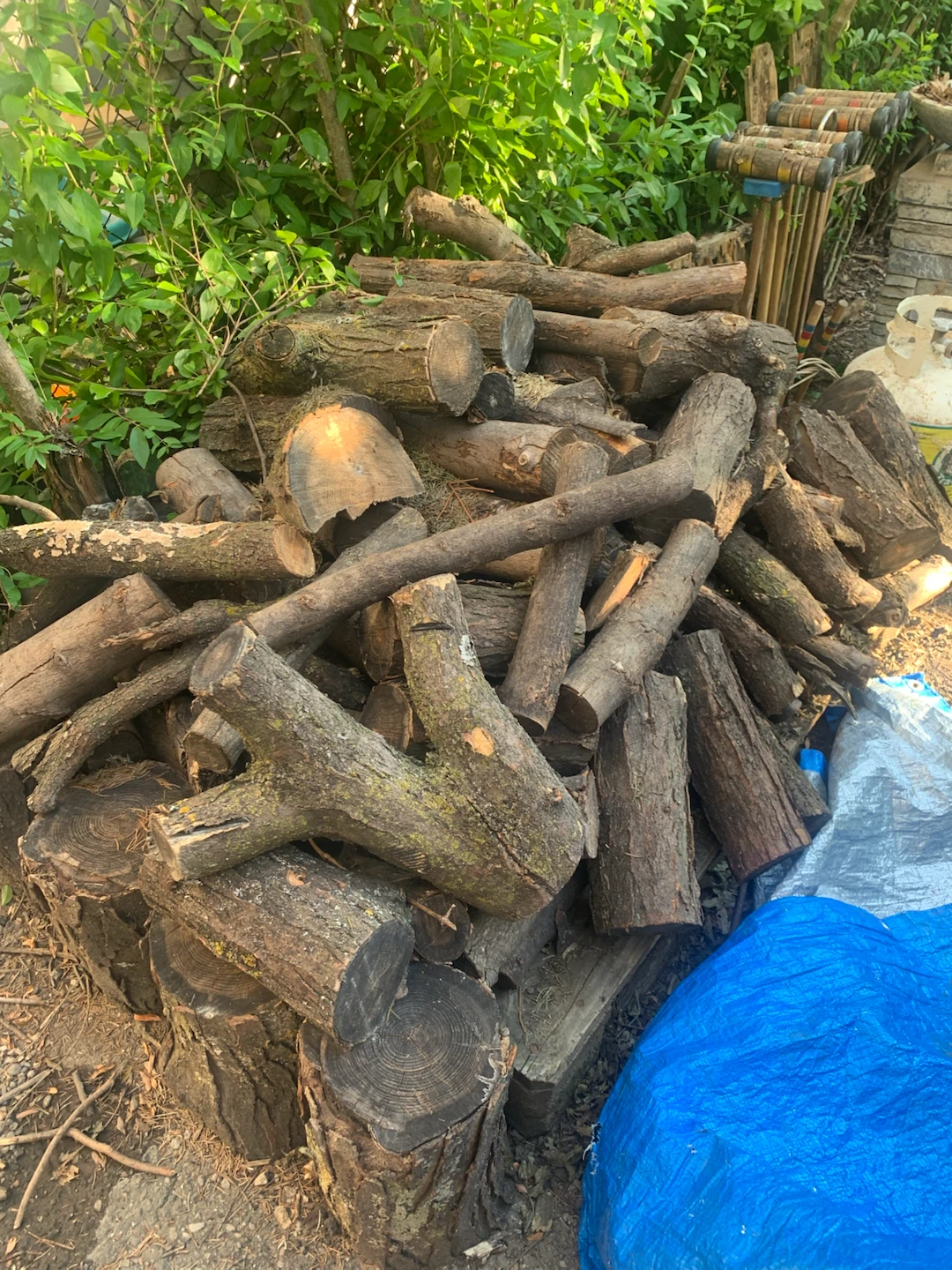 Free Firewood
