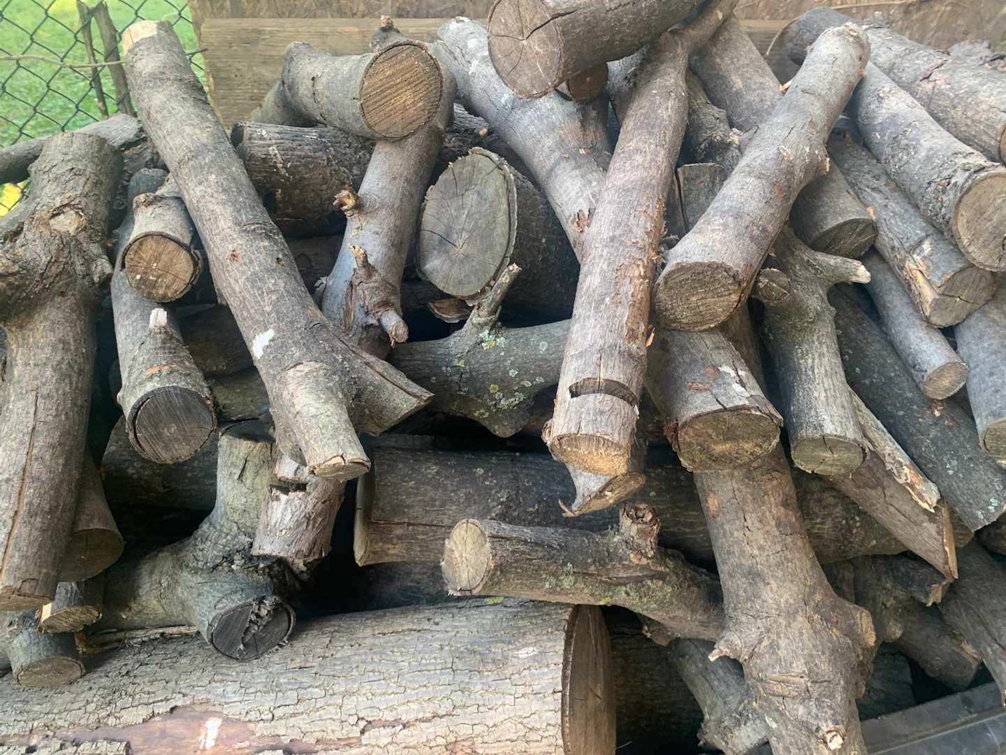Free Firewood - photo 2