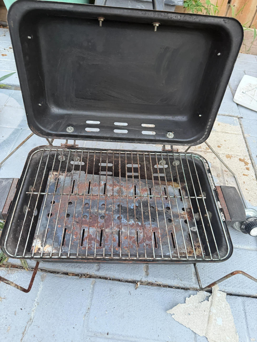 Portable Propane Grill