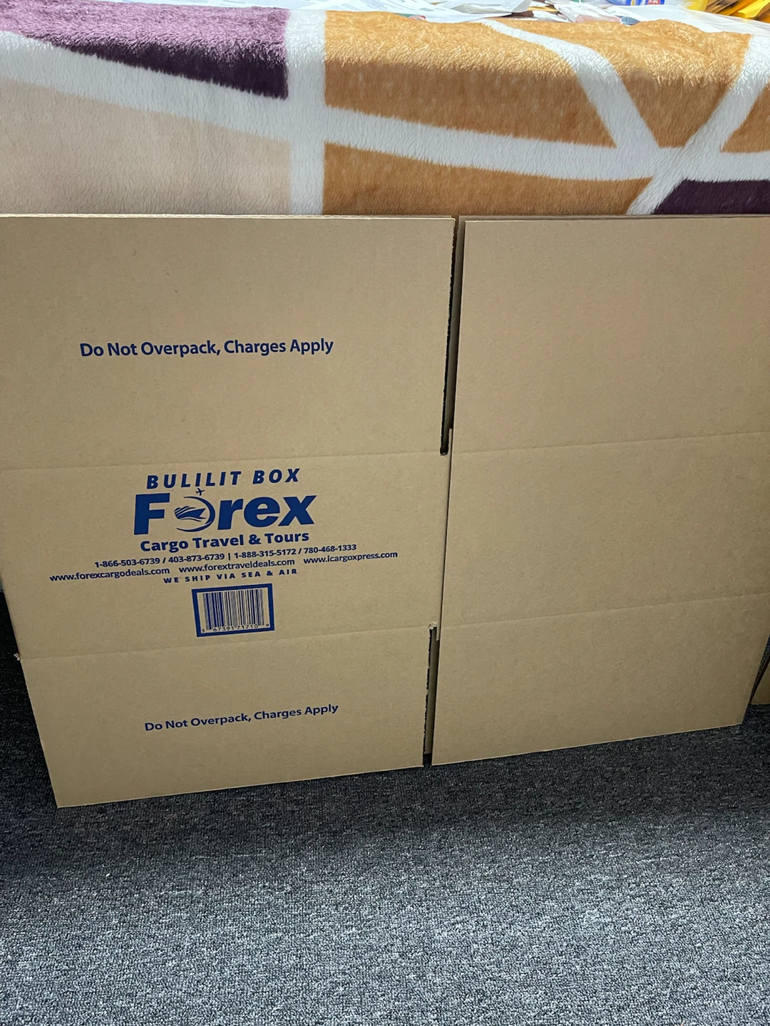 Forex Empty Boxes