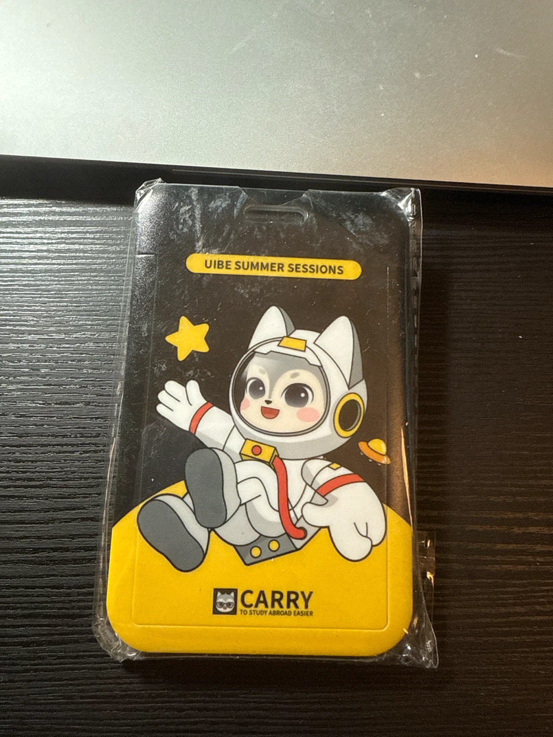 New Astronaut Cat ID Card Holder with Keychain