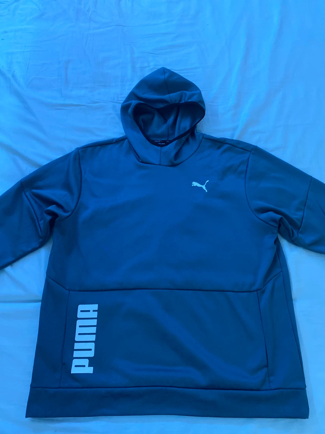 Puma Train All Day PWRFLEECE Hoodie Evening Sky Blue XL