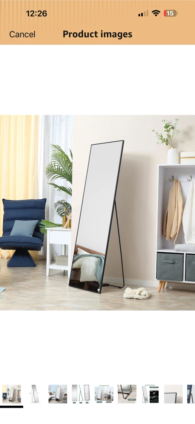 Full Length Standing Mirror - 62.4" H x 19.1" W