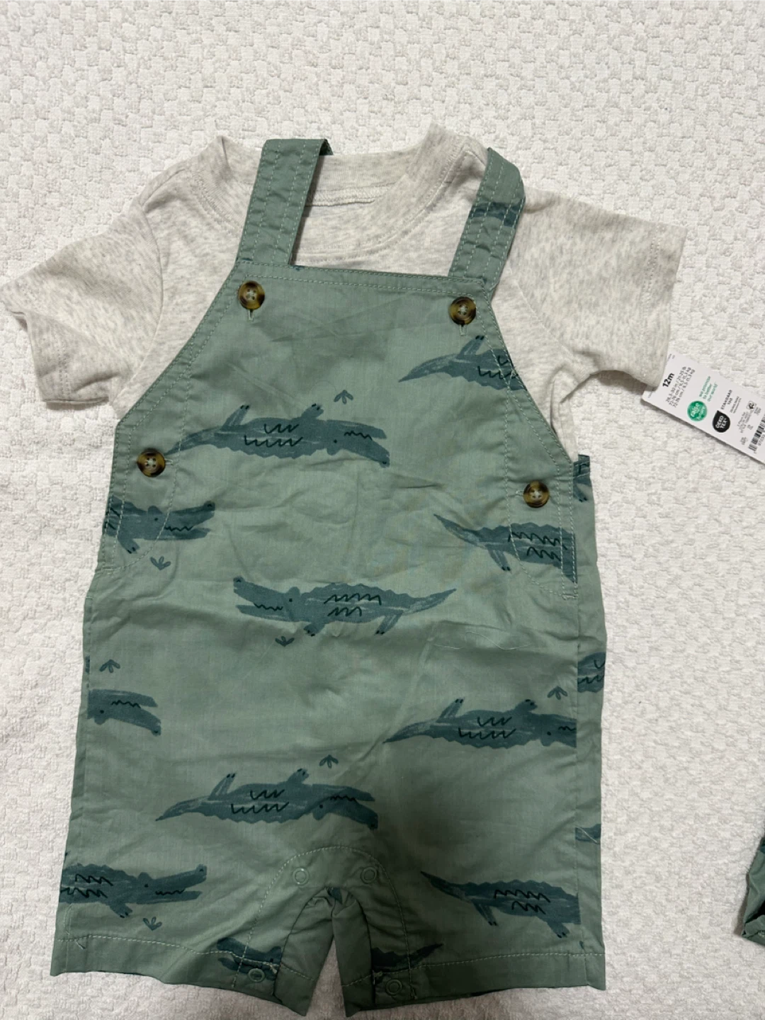 Carters 2-Piece Crocodile Overalls and Bodysuit Set - 12 Months
