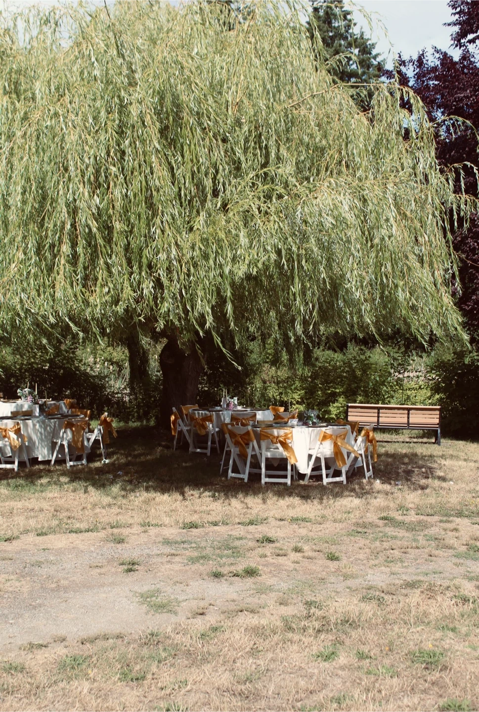 Wedding lot - photo 3