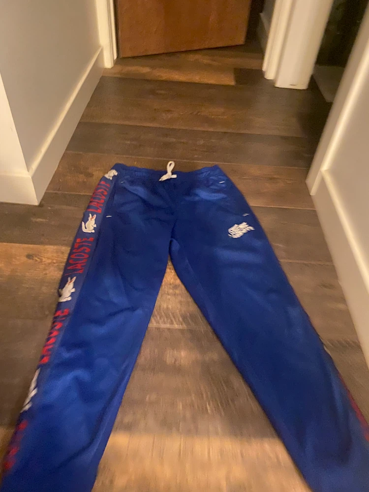 Lacoste Blue Track Pants - photo 3