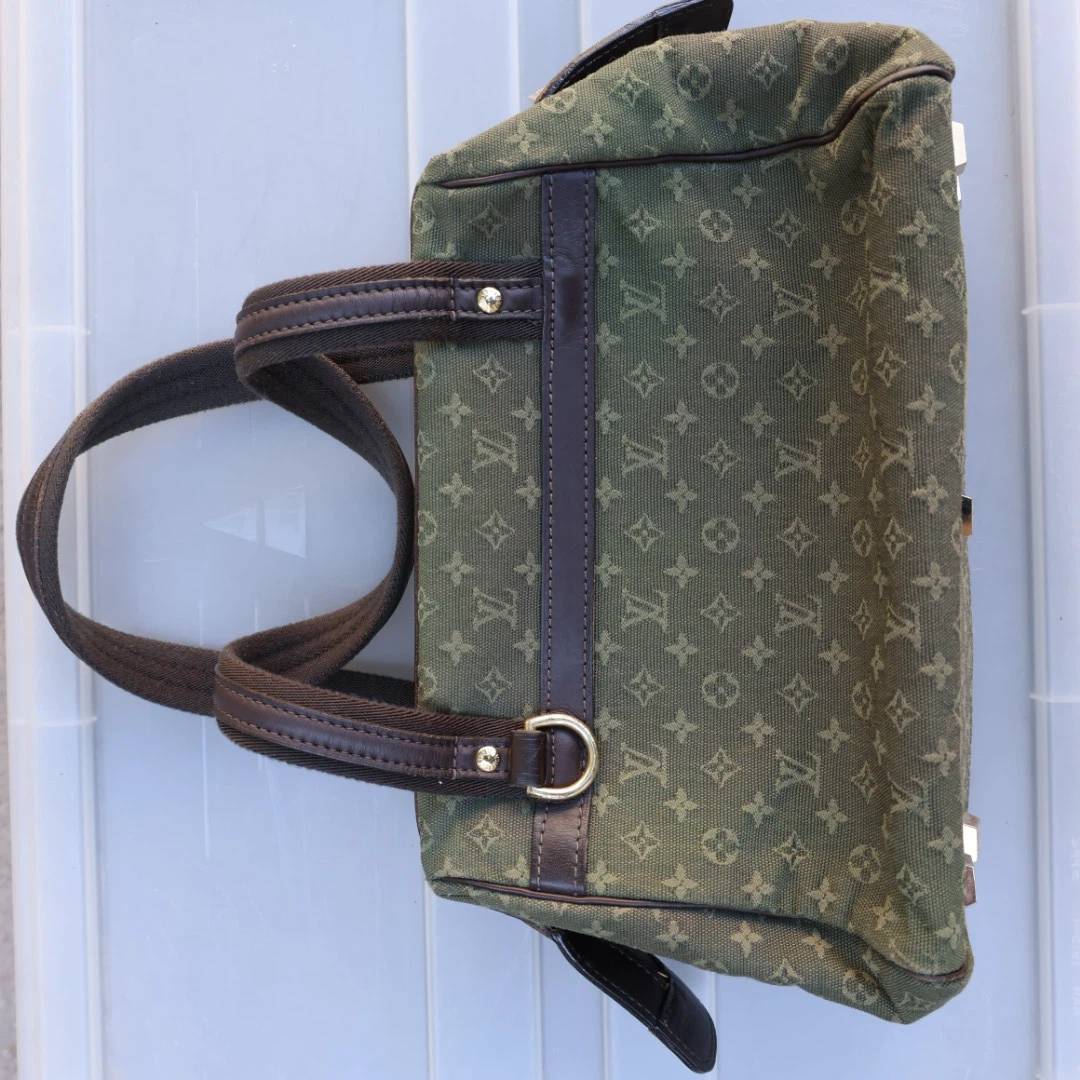 Louis Vuitton Monogram Pochette Accessoires Bag