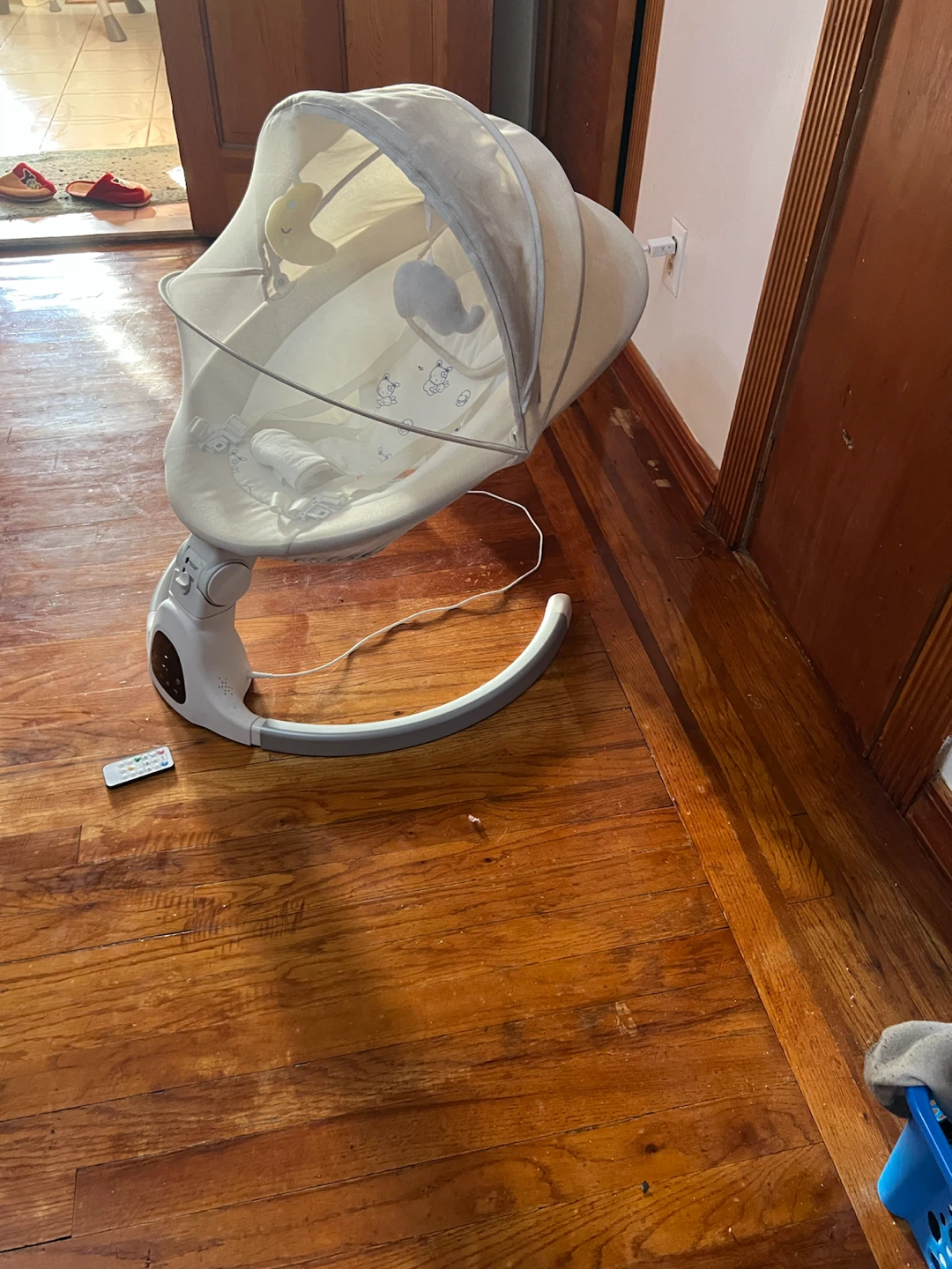 Baby Swing with Canopy and Remote