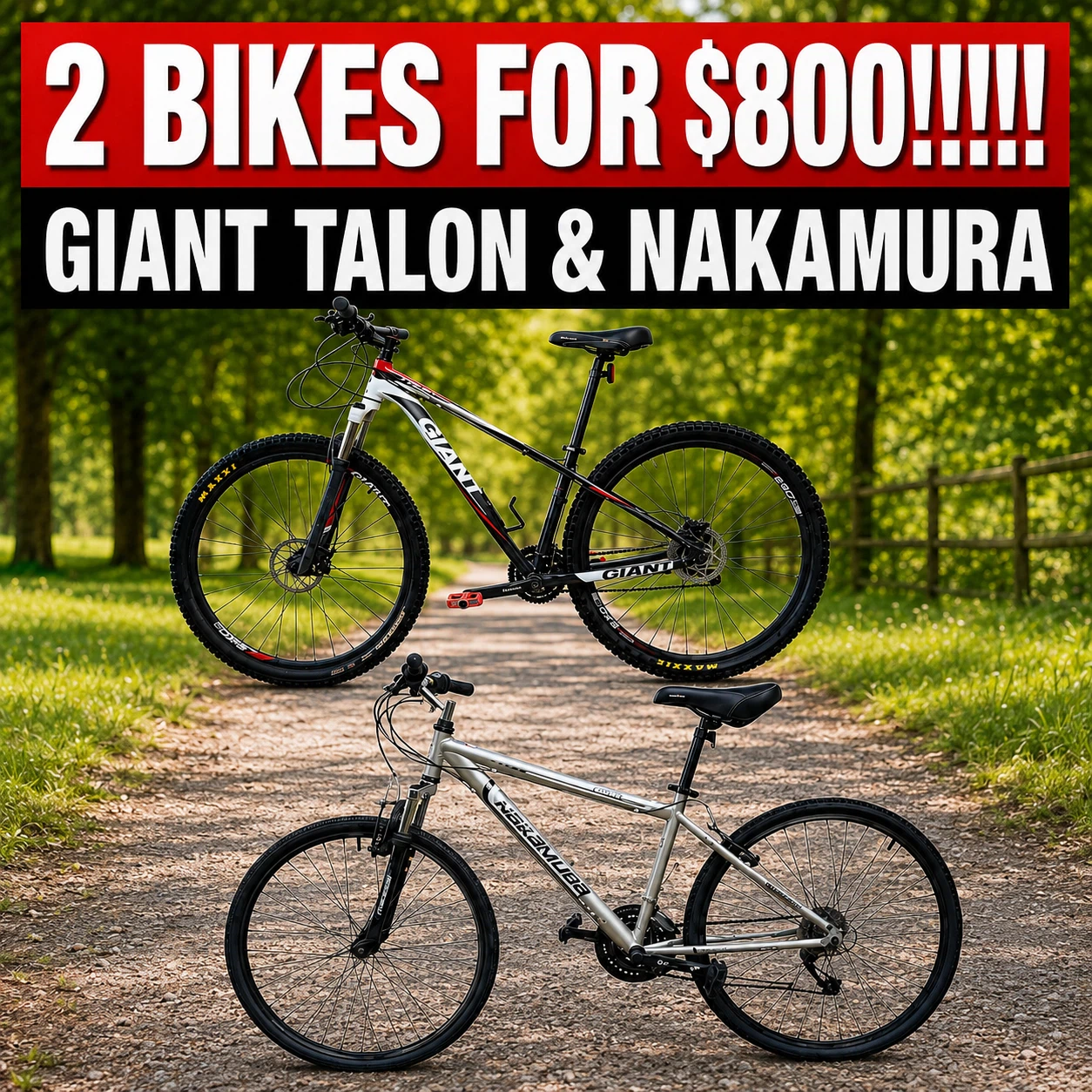 Giant Talon & Nakamura Mountain Bikes