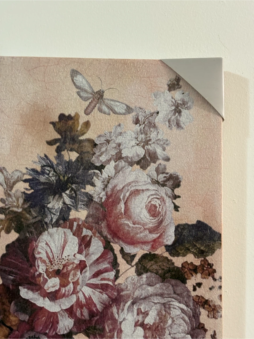 Floral Butterfly Canvas Wall Art - photo 3