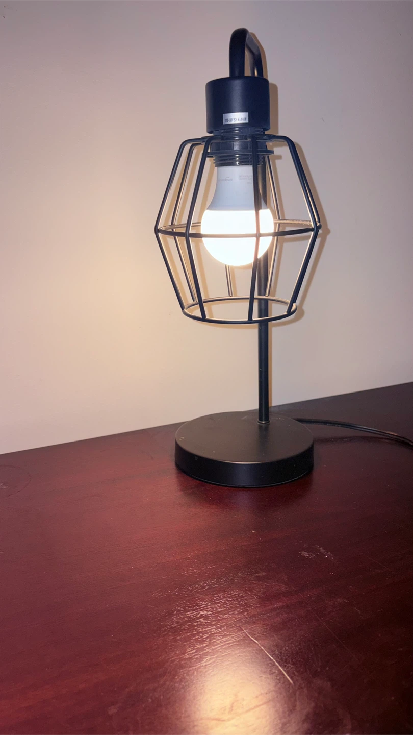 Elegant Black Industrial Cage Table Lamp with Bulb Included  60