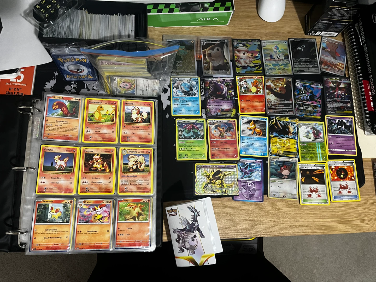 My Entire Pokemon Collection (1000+ cards)