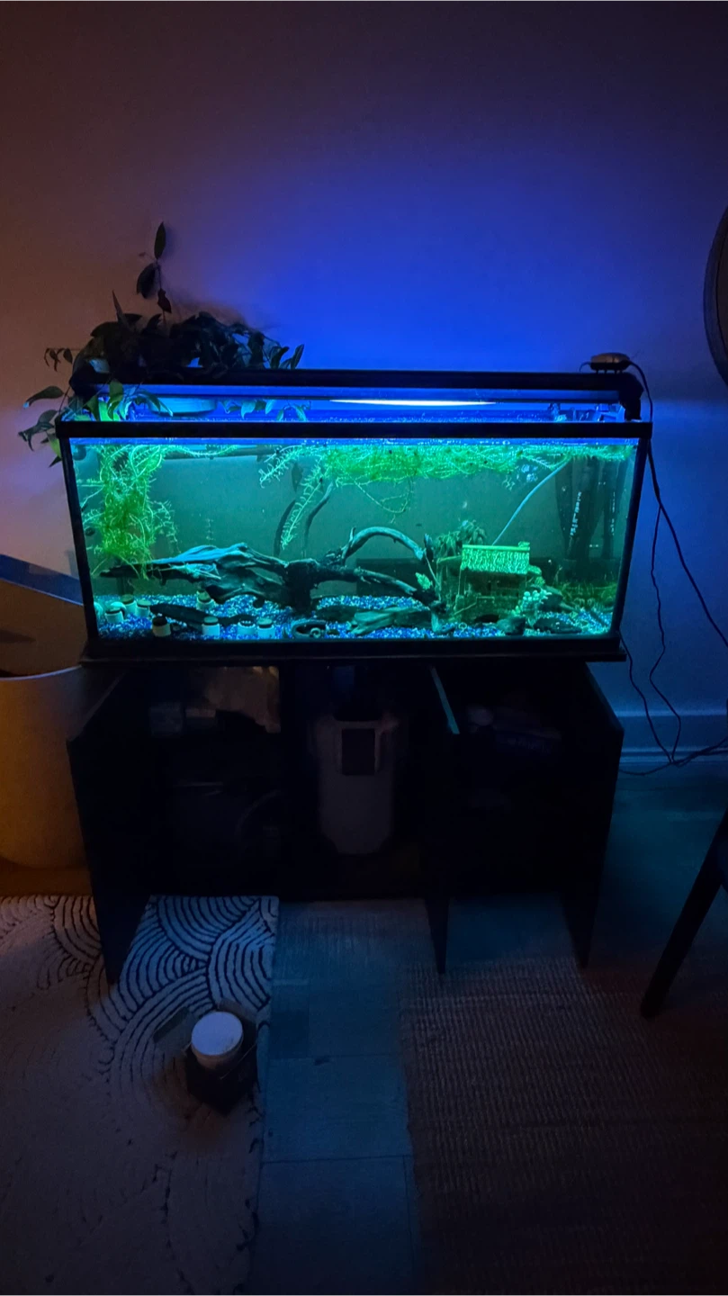 Aquarium - photo 2