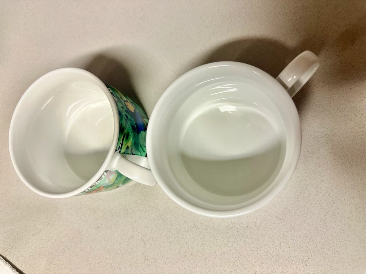 Sakura Ultra Porcelain Magic Jungle Mugs (Set of 2) - photo 4