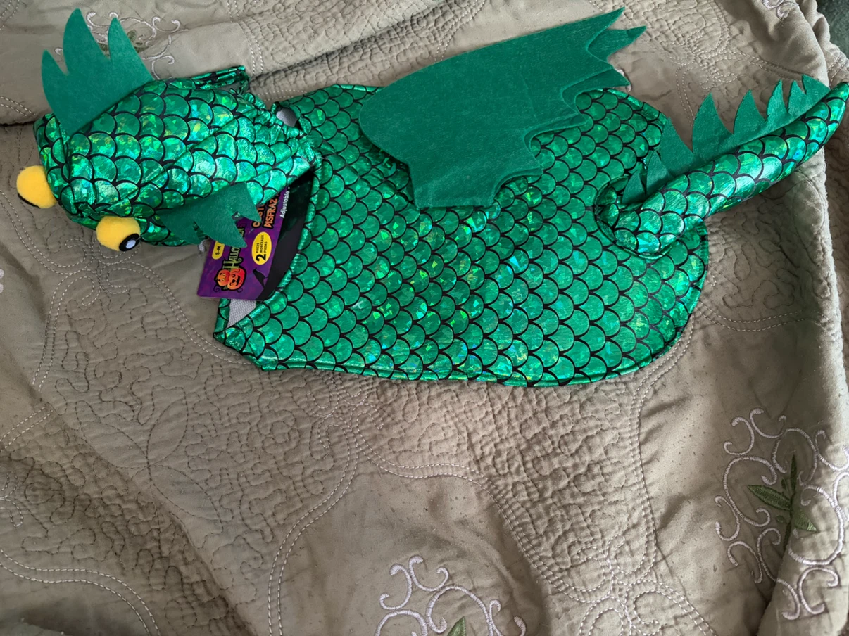 Dog Green Dragon Halloween Costume