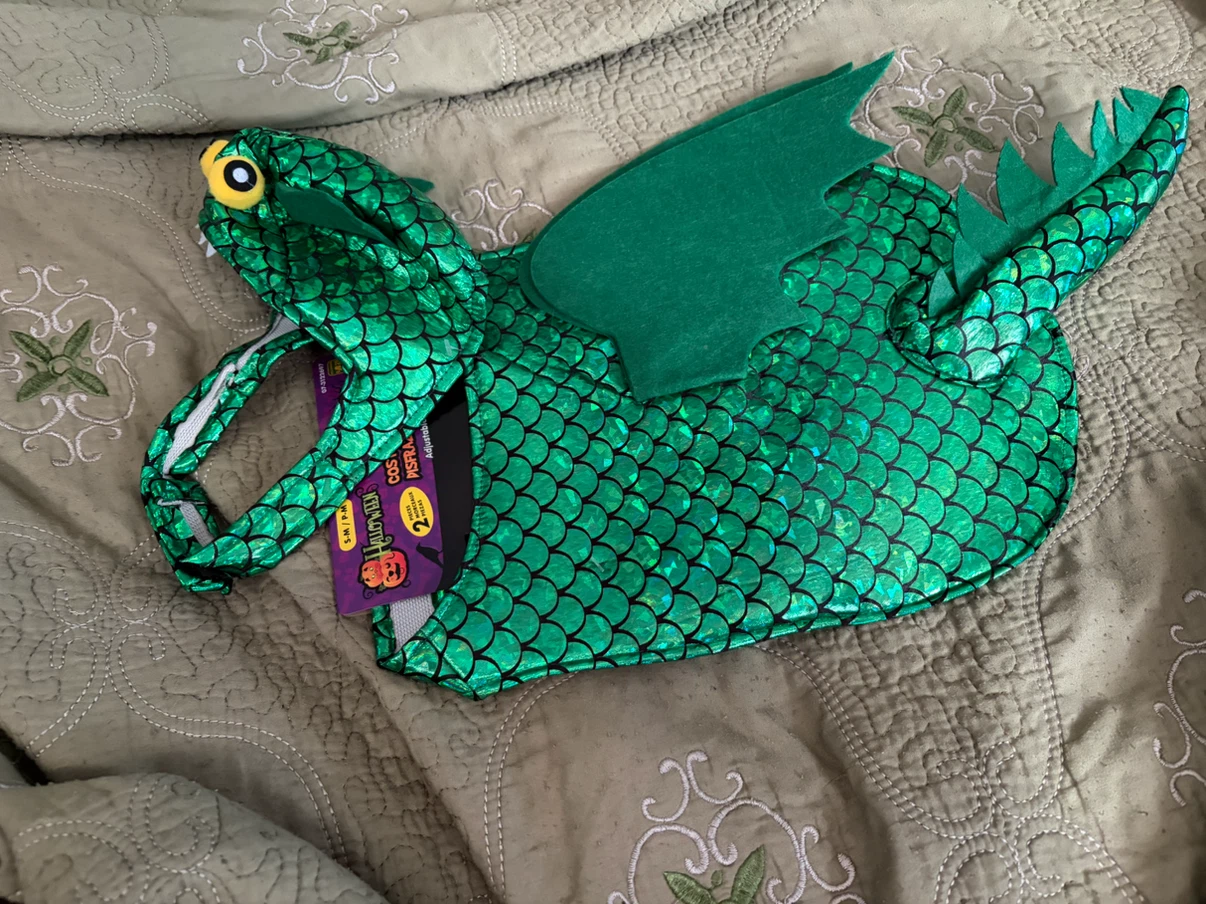 Dog Green Dragon Halloween Costume - photo 3
