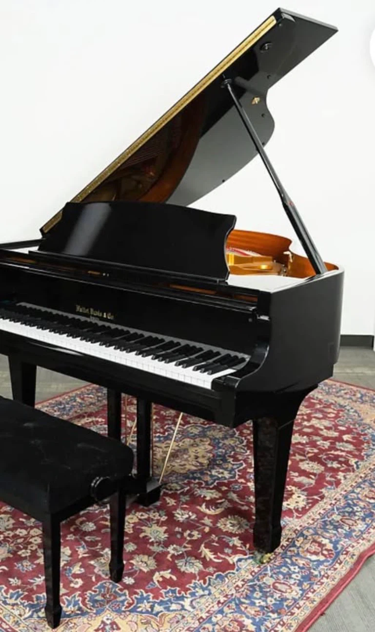 Hallet Davis & Co. Grand Piano for sale