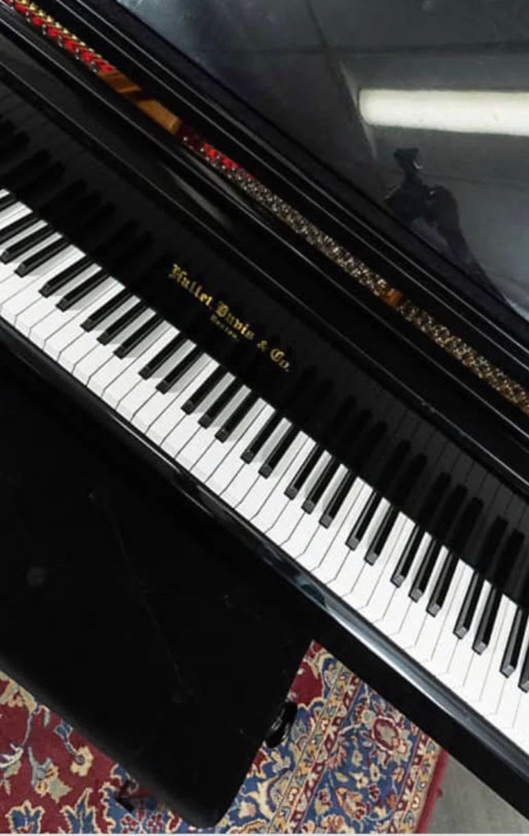 Hallet Davis & Co. Grand Piano for sale - photo 2