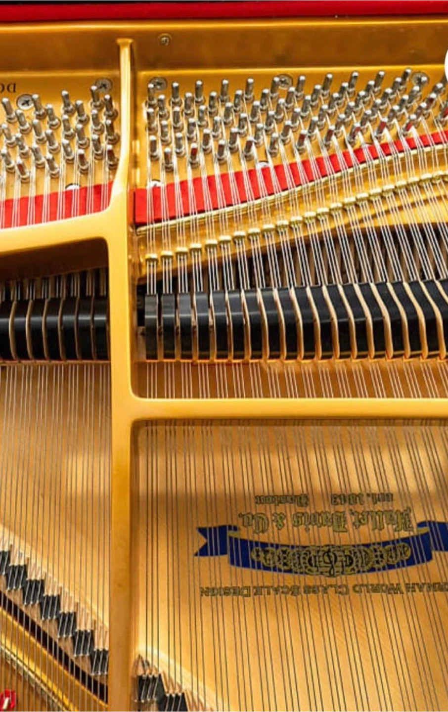 Hallet Davis & Co. Grand Piano for sale - photo 3