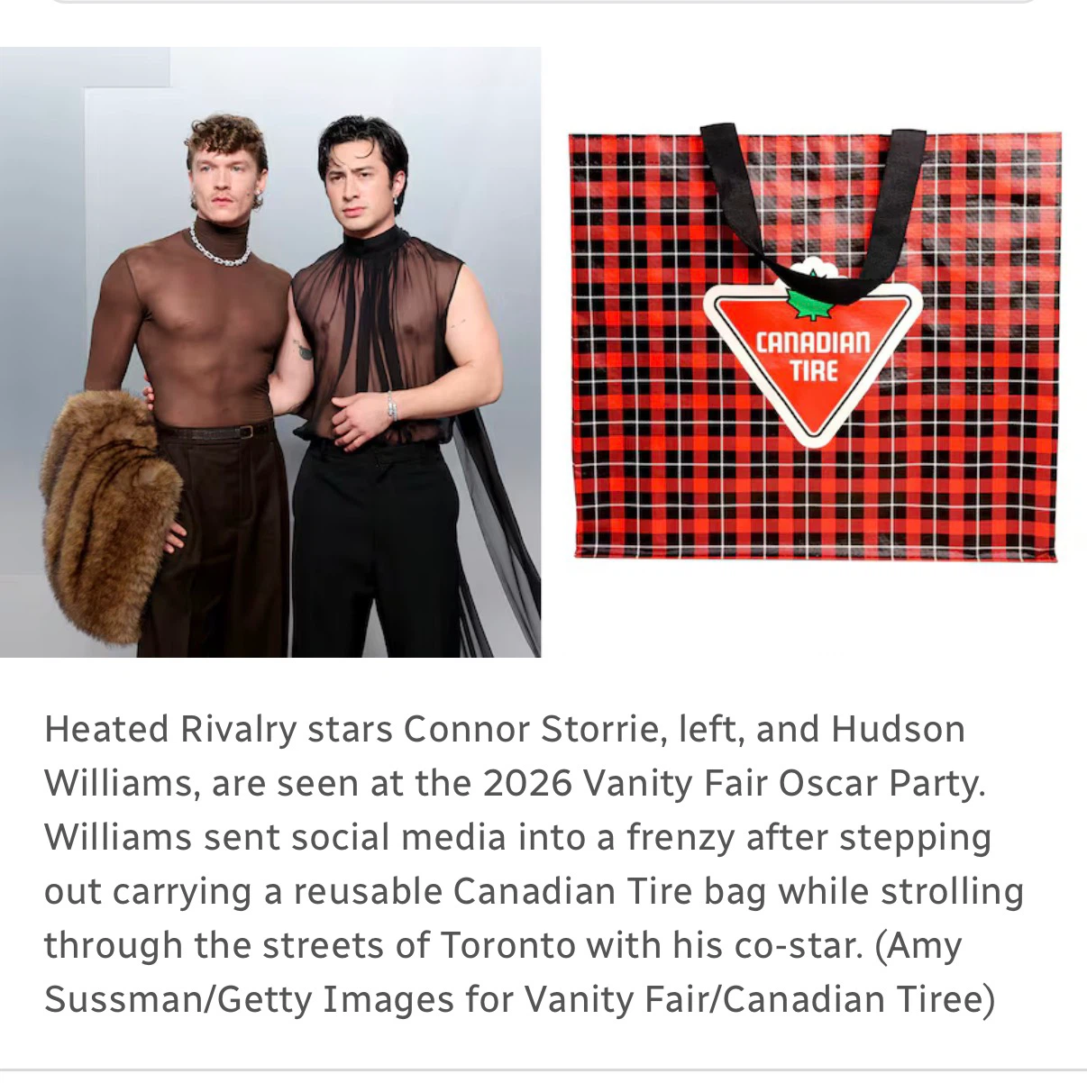 Heated Rivalry Canadian Tire Reusable Tote Bag