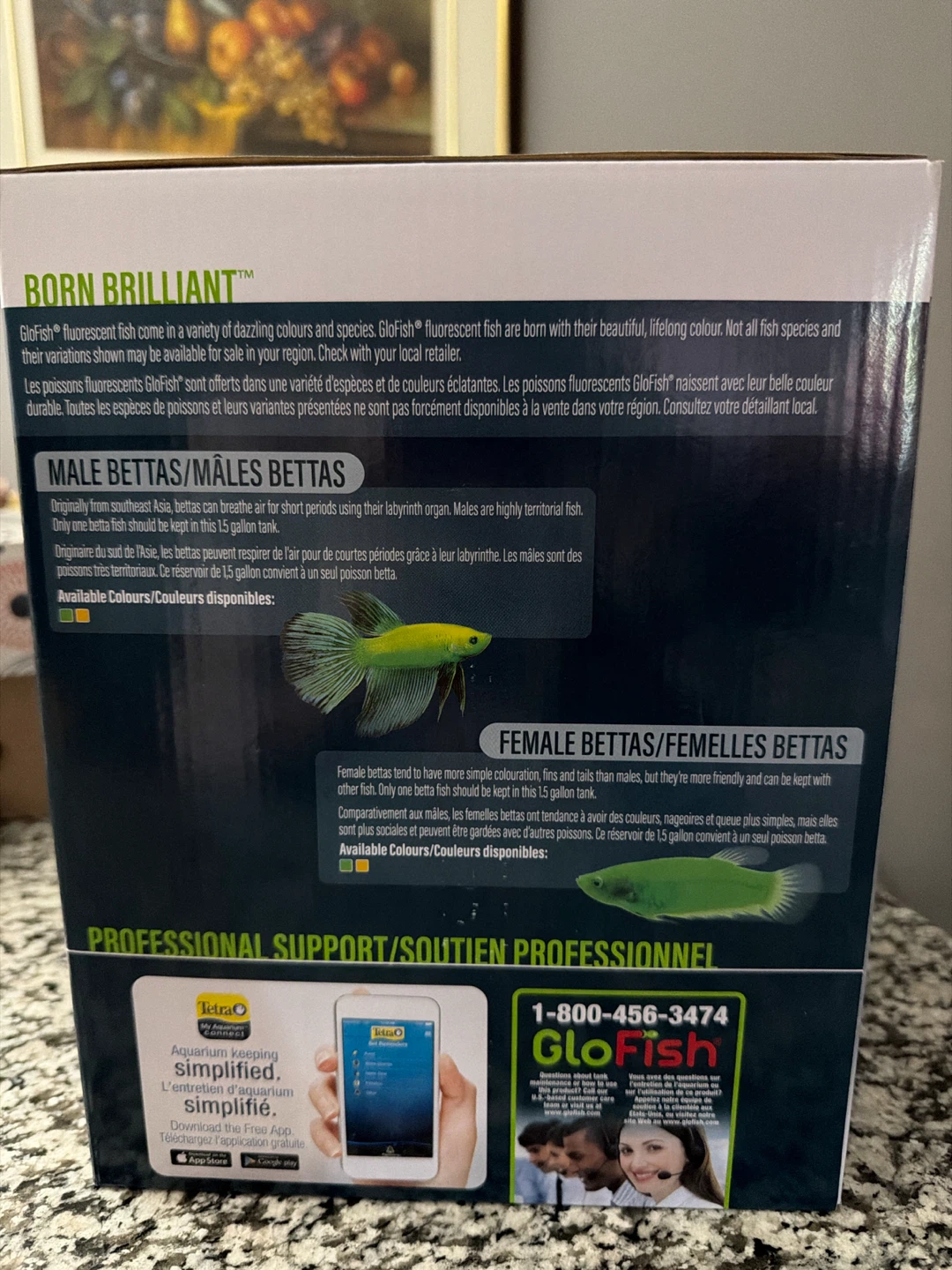 GloFish 1.5 Gallon Betta Aquarium Kit with Blue LED Lighting - photo 2