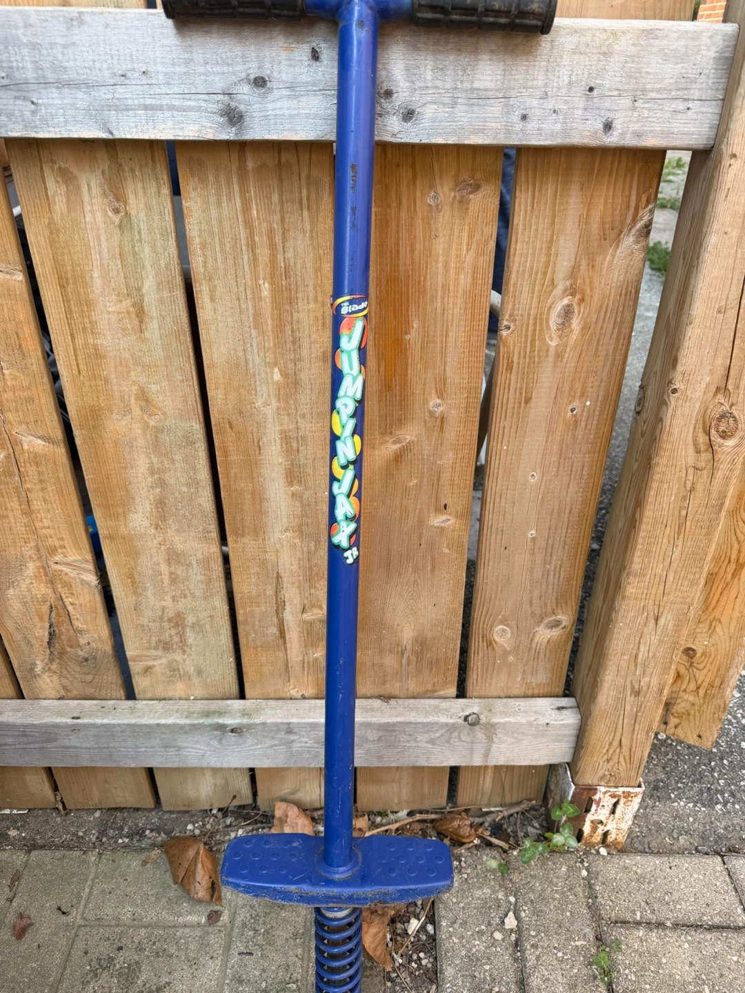 Gonge Jr. Jump N' Dunk Pogo Stick