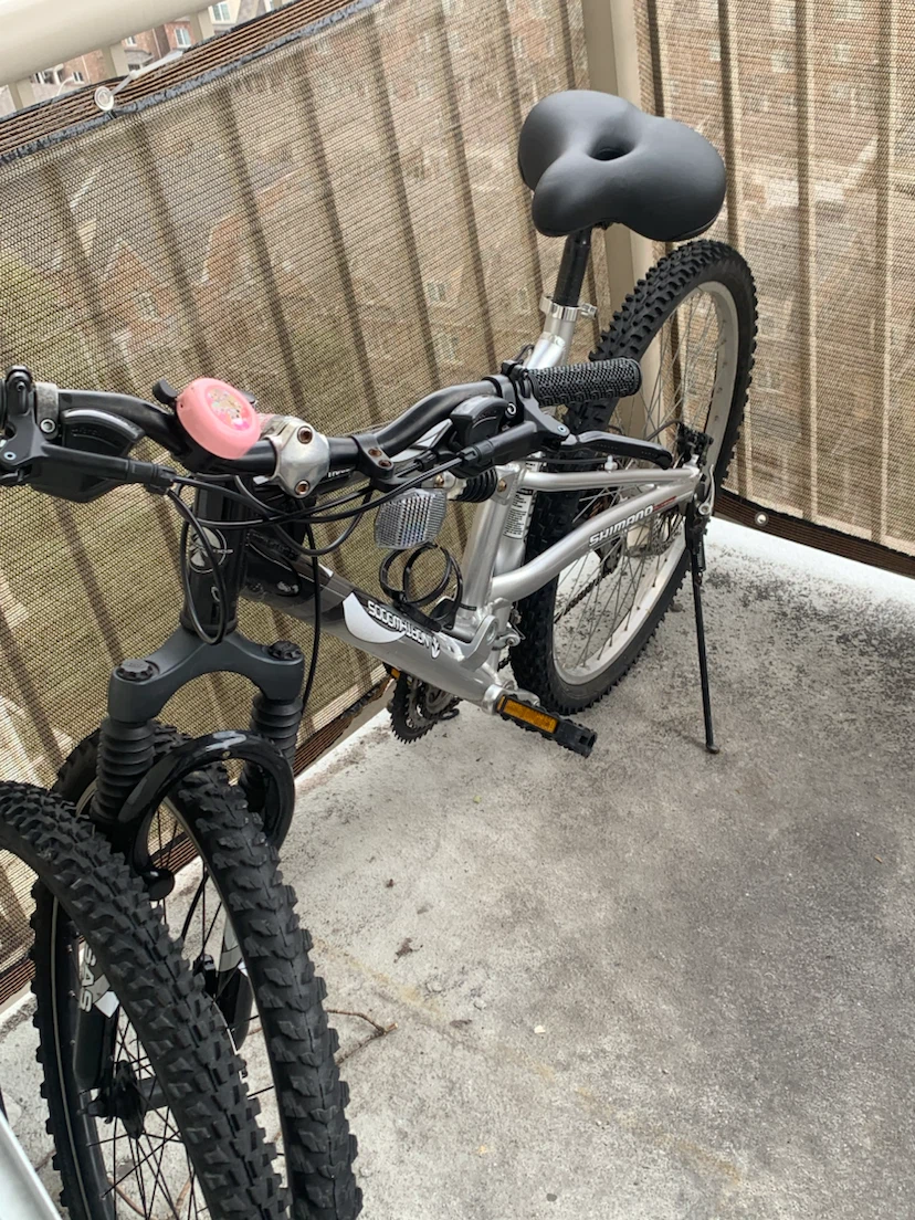 Silver Mountain Bike