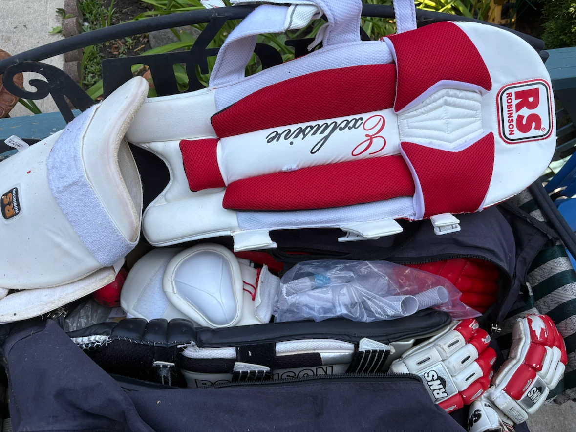 RS Robinson Exclusive Cricket Pads & Gloves Set - photo 2