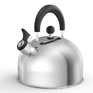 Doral Kitchen Tetera Stainless Steel Whistling Kettle 3 LTS