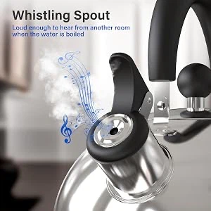 Doral Kitchen Tetera Stainless Steel Whistling Kettle 3 LTS - photo 2