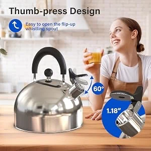 Doral Kitchen Tetera Stainless Steel Whistling Kettle 3 LTS - photo 5