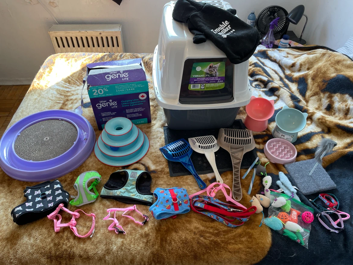 Kitten/Cat XL LitterBox, Litter, Toys, Etc Lot