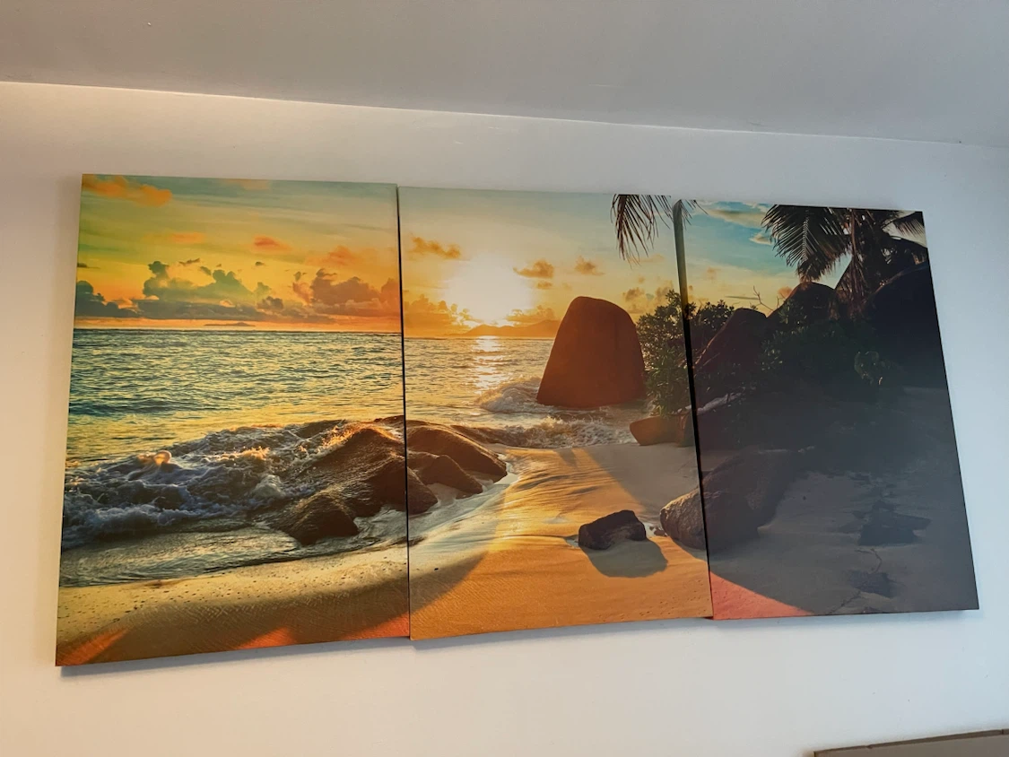 pictures - photo 3