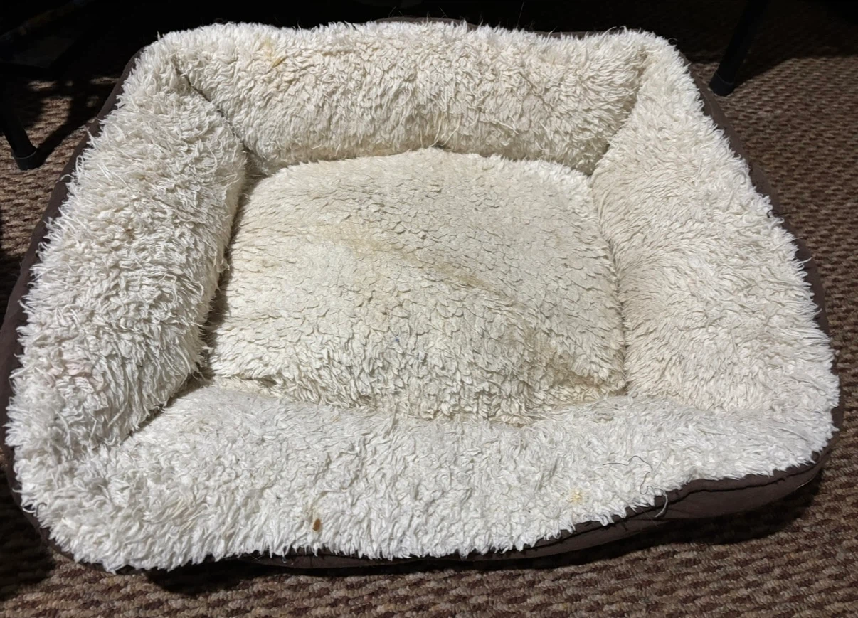 Plush Dog Bed