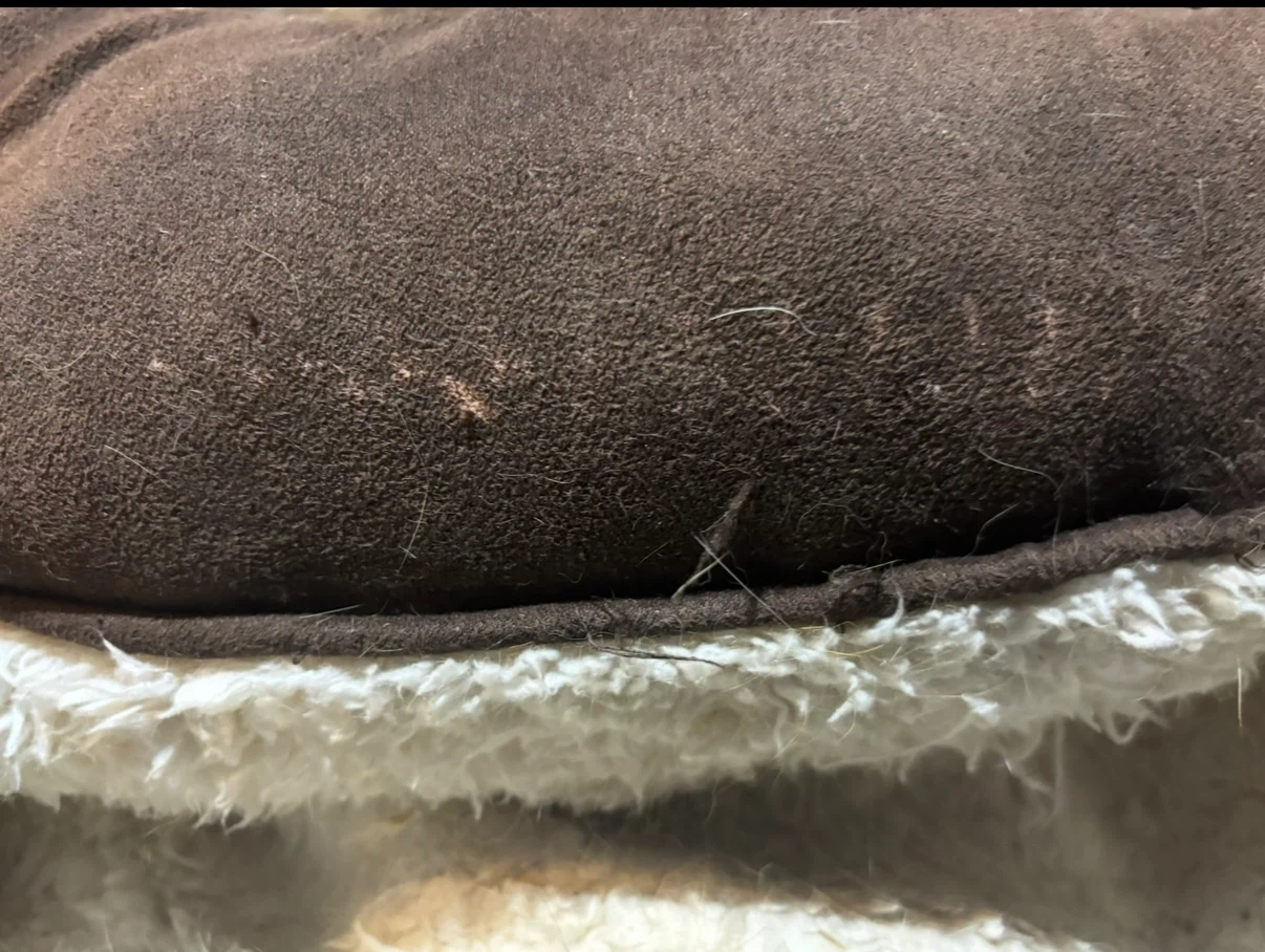 Plush Dog Bed - photo 2