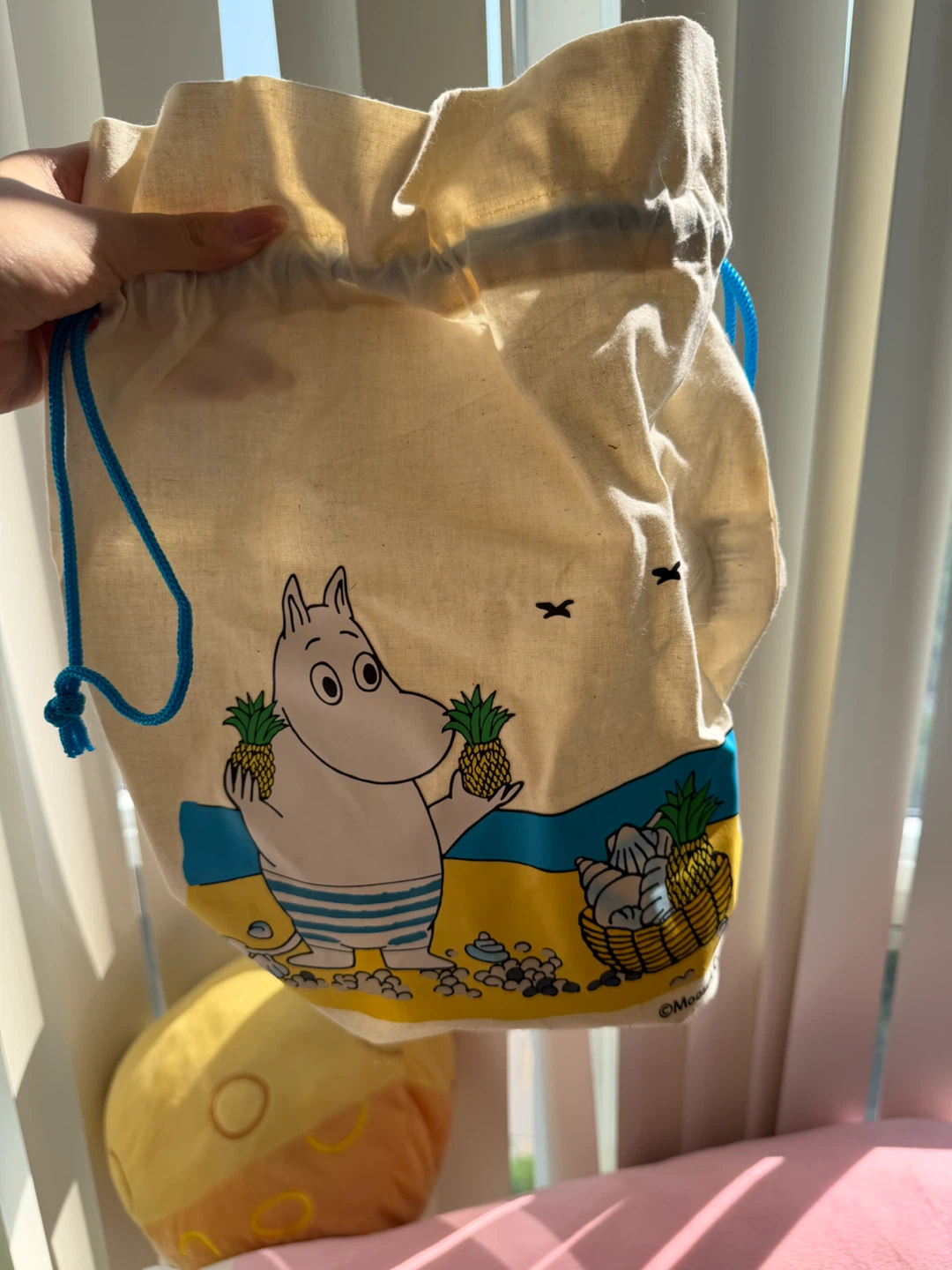 Rare moomin bag from hawaii