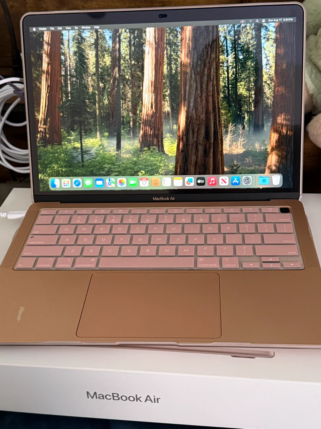 Apple MacBook Air Laptop - photo 4