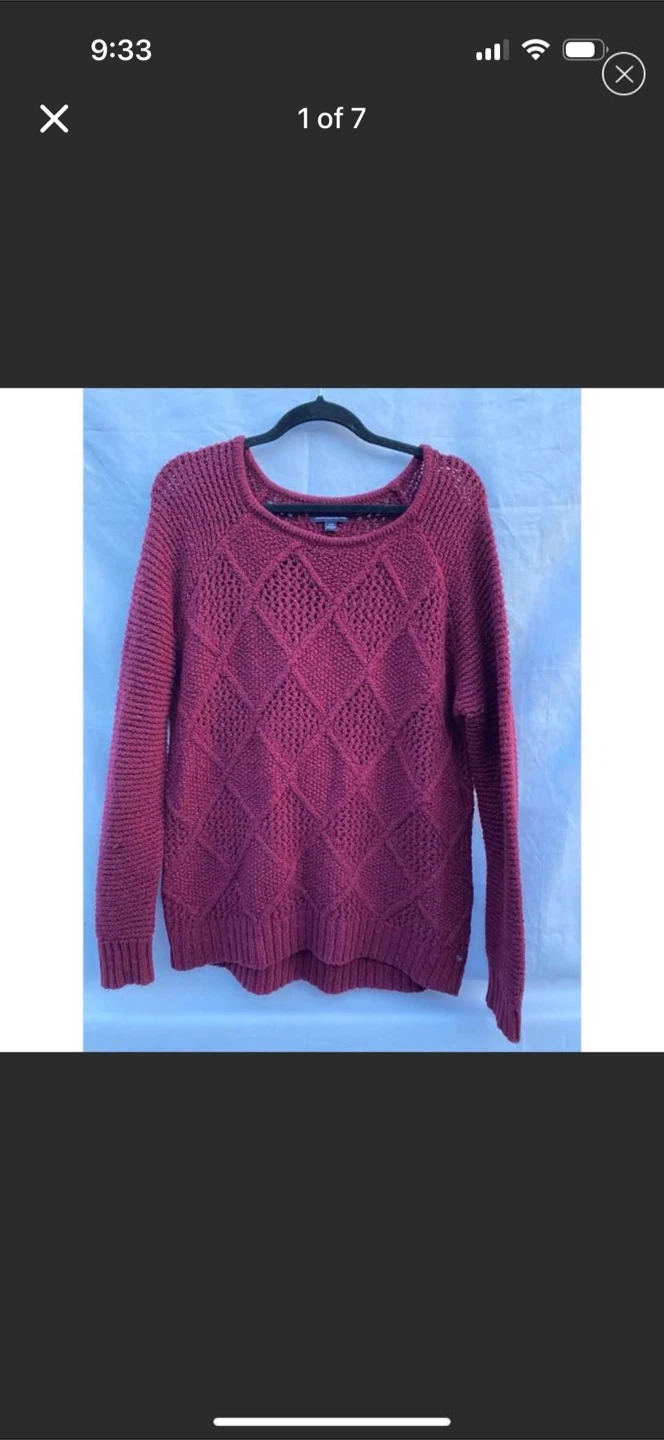 American Eagle Outfitters Burgundy Knit Sweater