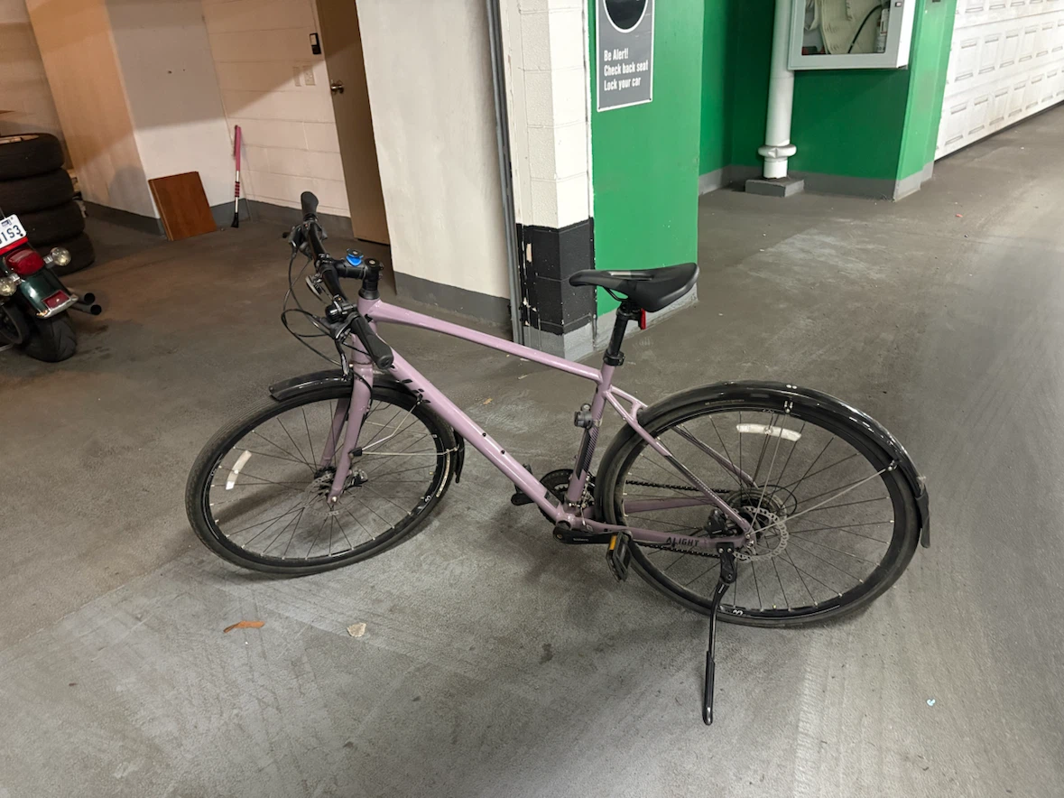 Liv Alight Hybrid Bike
