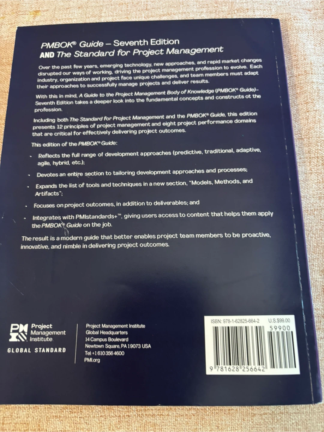 PMBOK Guide Seventh Edition - Project Management Institute - photo 2