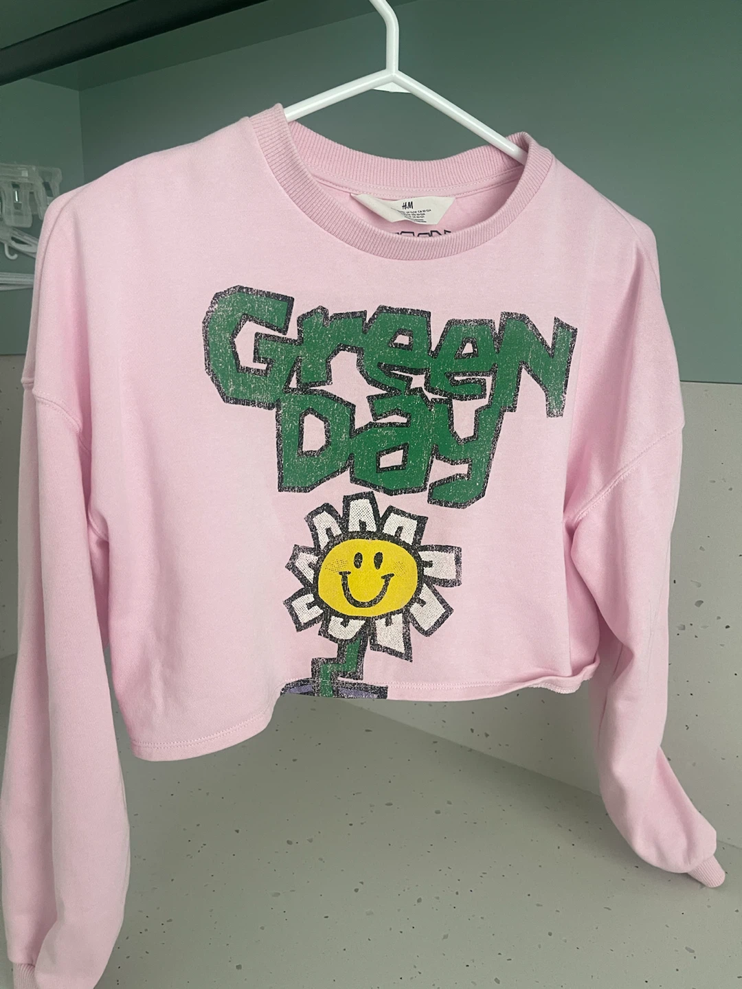 H&M Green Day Pink Cropped Sweatshirt
