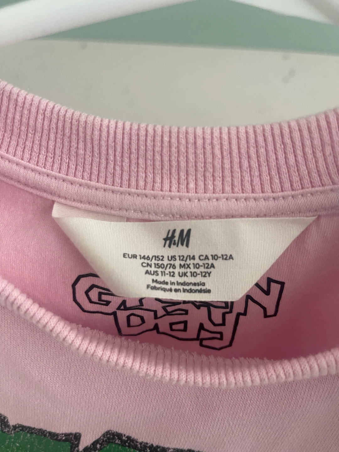 H&M Green Day Pink Cropped Sweatshirt - photo 3
