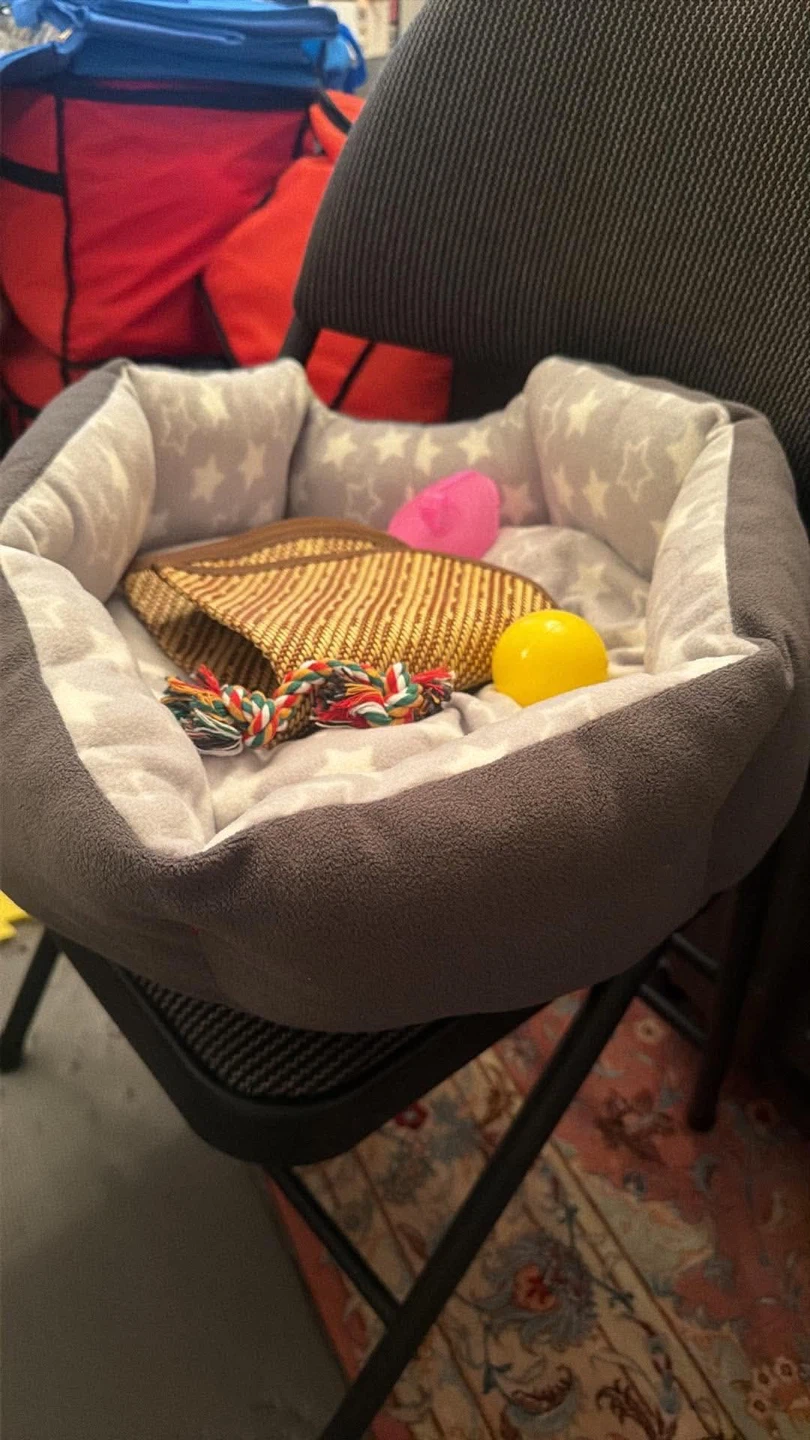 Pet Bed with Toys