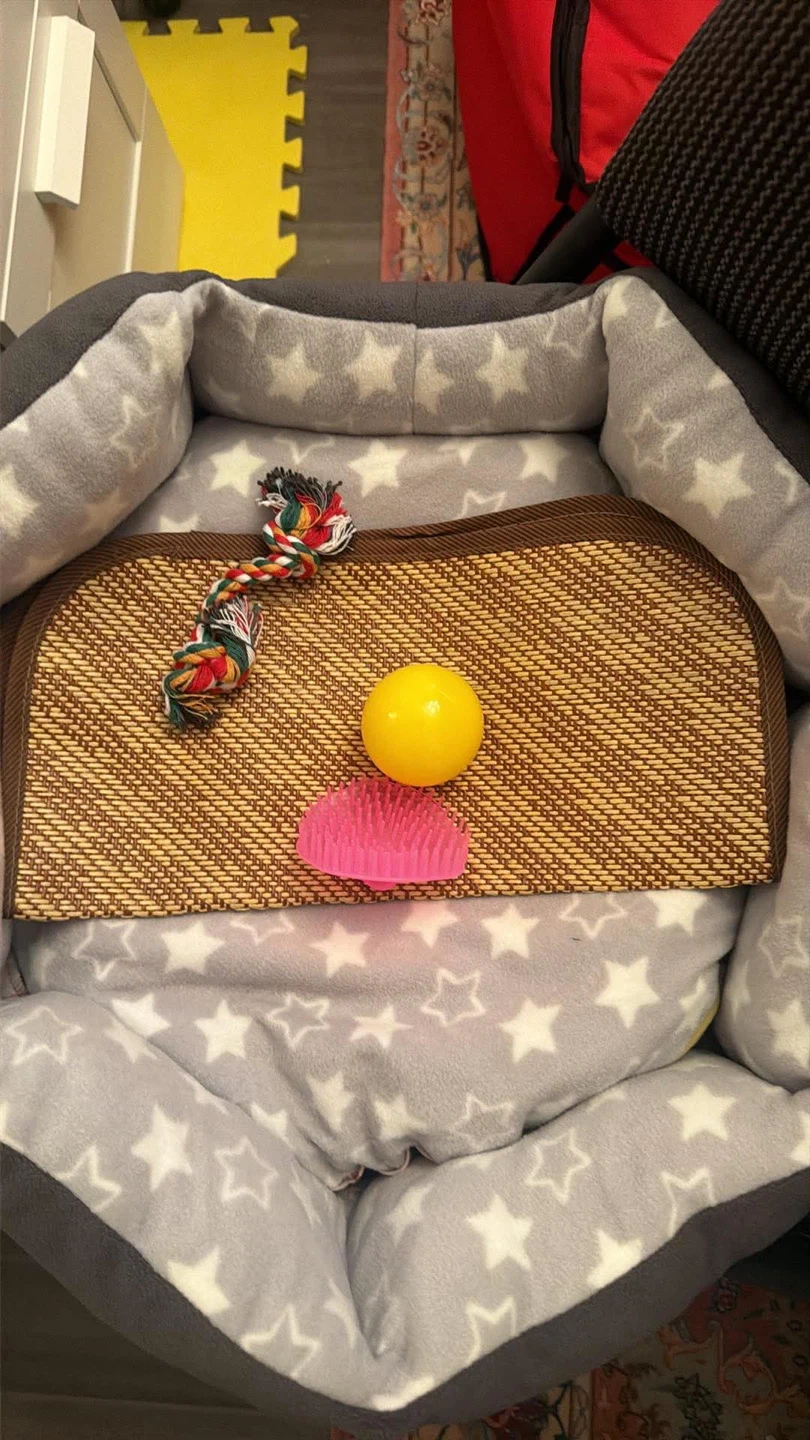 Pet Bed with Toys - photo 2