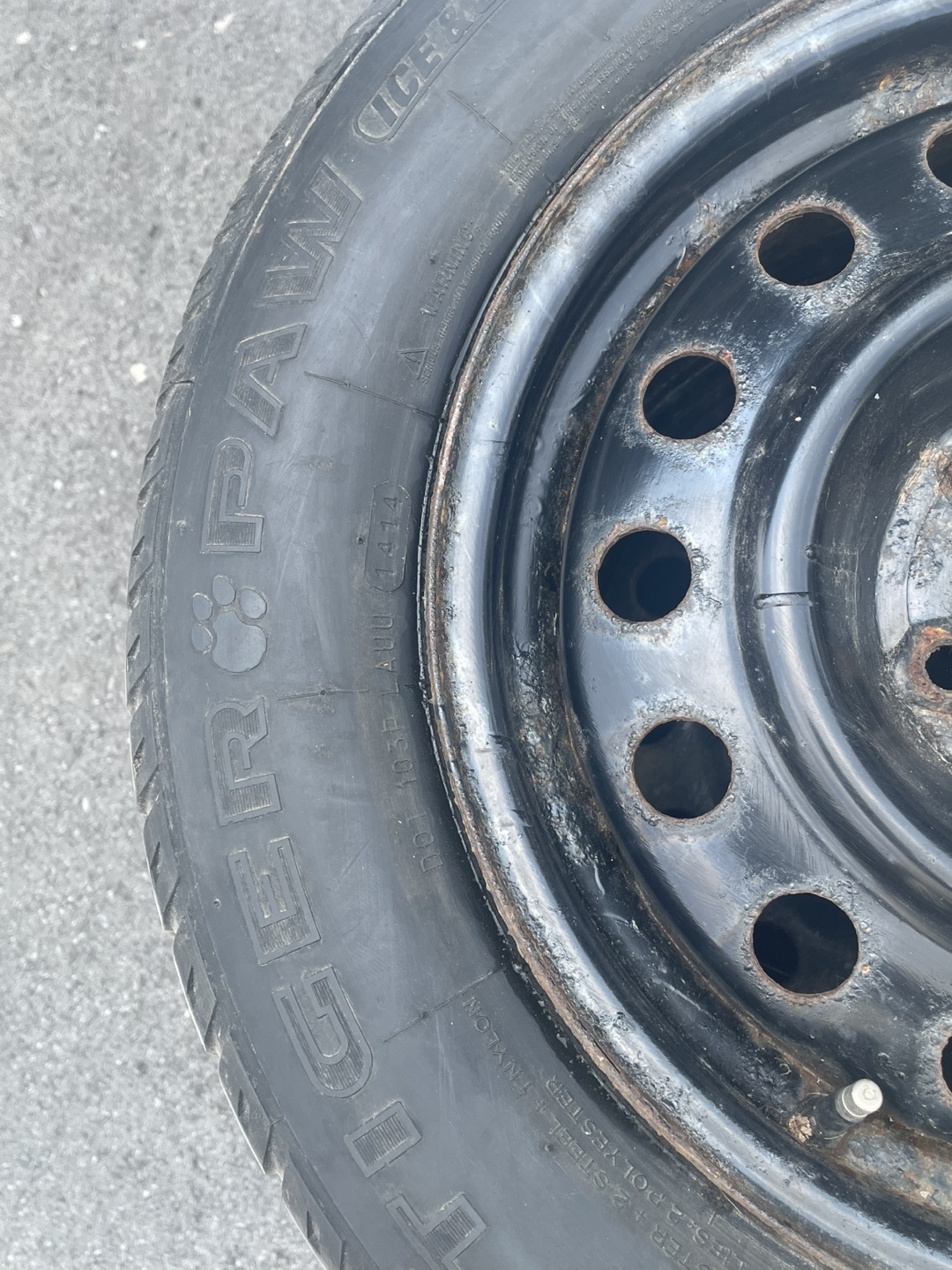 Uniroyal Tiger Paw Tire with Steel Rim - photo 3