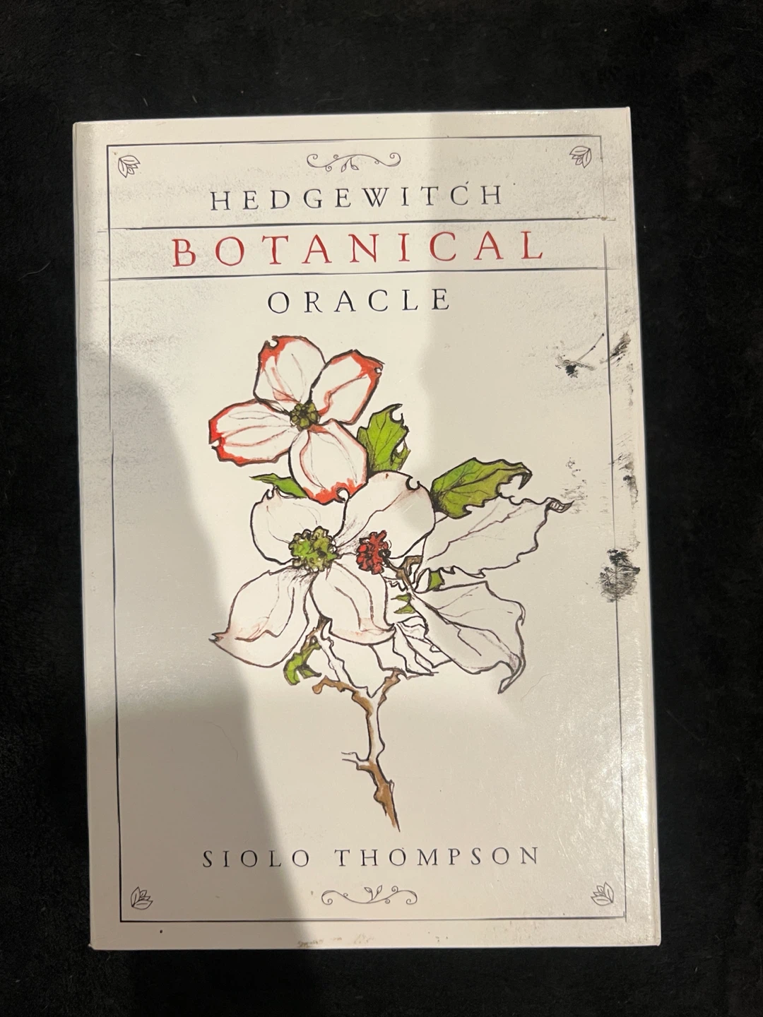 Hedgewitch Botanical Oracle Deck and Field Guide