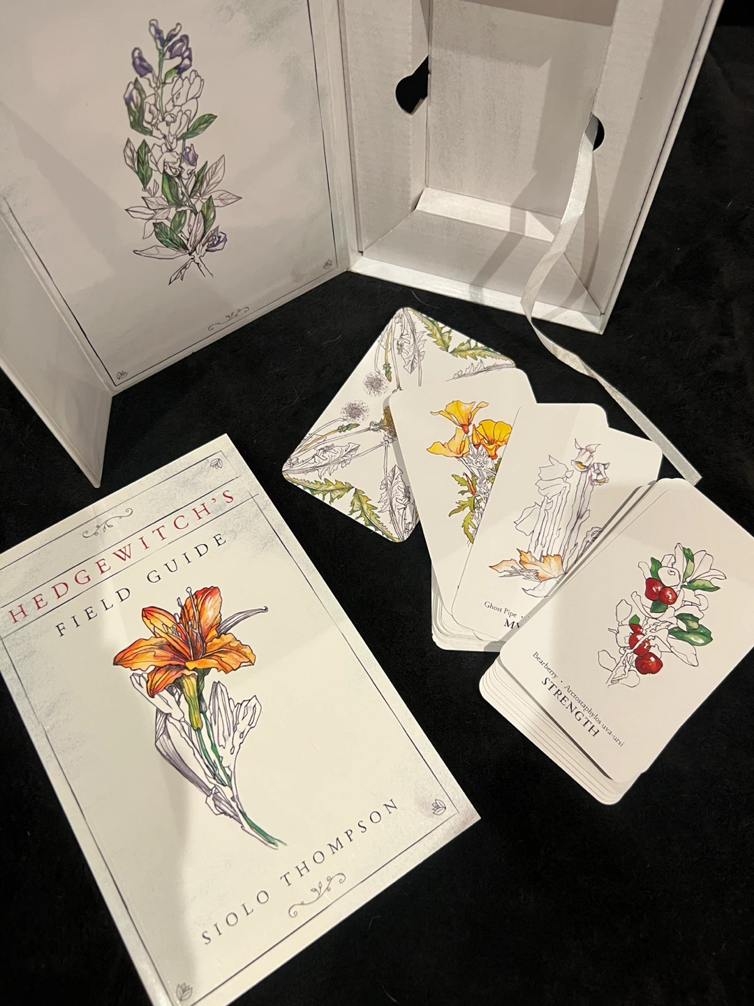 Hedgewitch Botanical Oracle Deck and Field Guide - photo 2